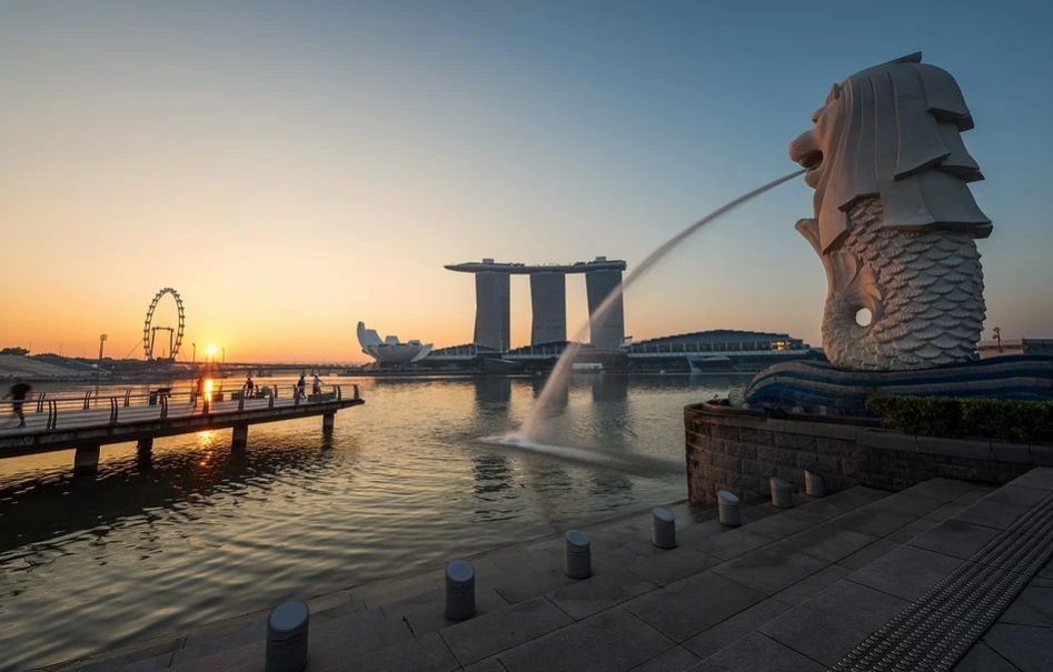 singapore expat
